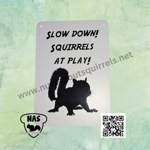 Plastic Squirrel Sign