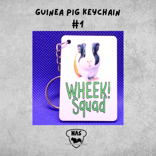 Guinea Pig Keychains