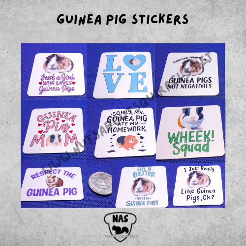 Set of 18 Guinea Pig Stickers