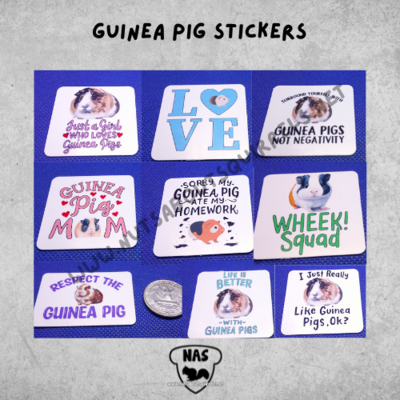 Set of 18 Guinea Pig Stickers