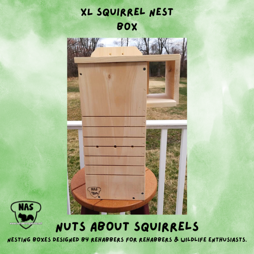 24&quot; XL Squirrel Nest Box with Porch