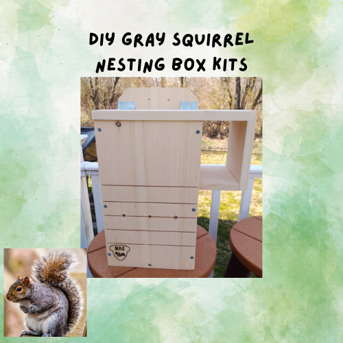 DIY  Gray Squirrel Nesting Box Kit