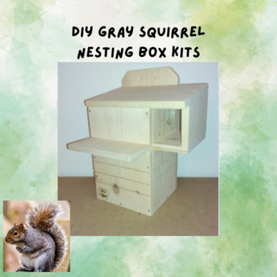 DIY  Gray Squirrel Nesting Box Kit