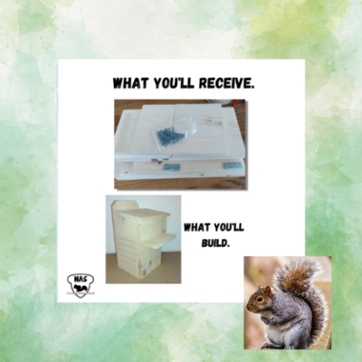 DIY  Gray Squirrel Nesting Box Kit