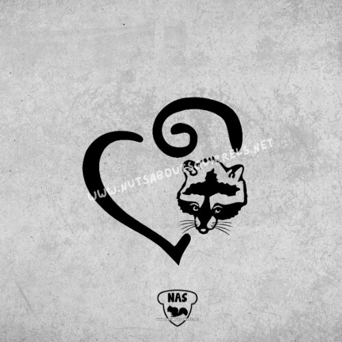 Raccoon Vinyl Decal