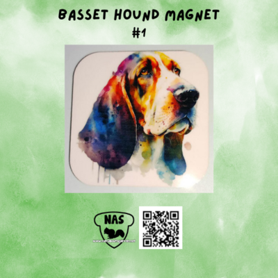 Basset Hound Magnets
