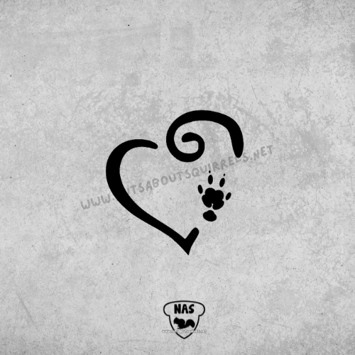 Guinea Pig Vinyl Decal