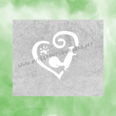 Squirrel Decals