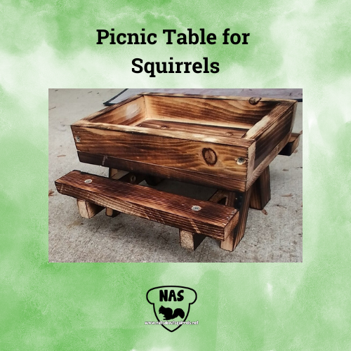 Picnic Table Feeder
