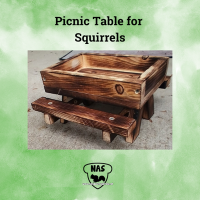 Picnic Table Feeder