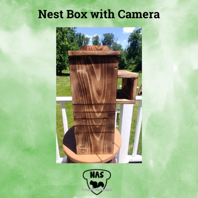 Wildlife Rehab Approved Squirrel Nesting Box with Wireless Camera
