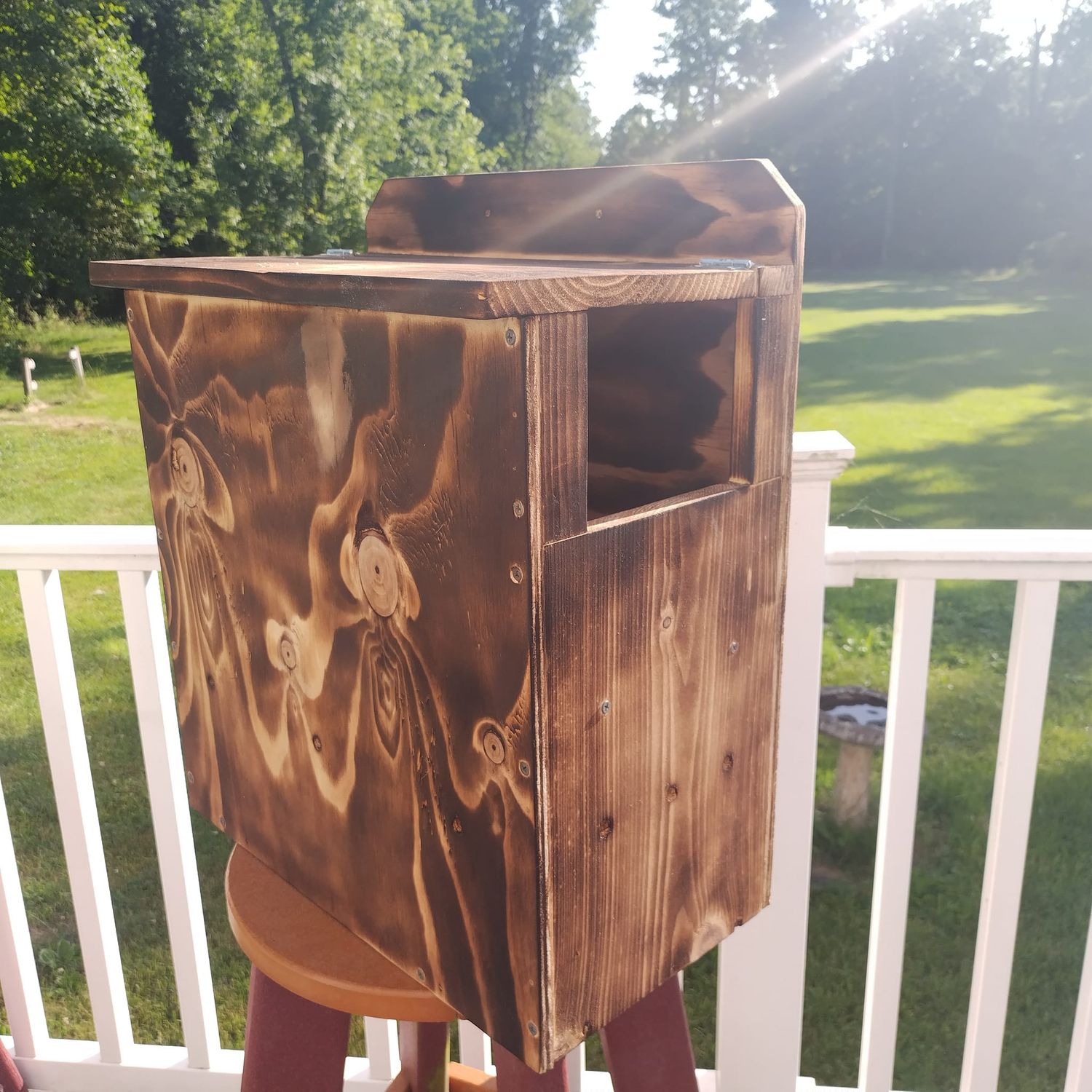 Raccoon House