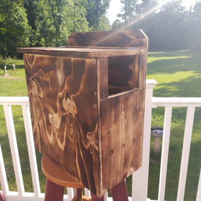 Raccoon House