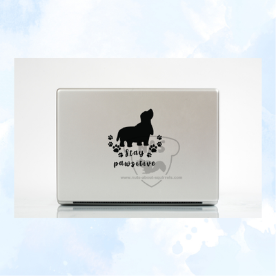 Stay Pawsitive Vinyl Basset Hound Decal
