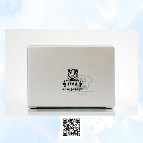 Stay Pawsitive Guinea Pig Vinyl Decal