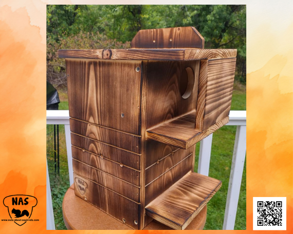 Red Squirrel Nesting Box – Wildlife Rehab-Approved Squirrel House –Handmade Shelter for Red &amp; Douglas Squirrels –Predator-Resistant Design