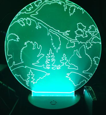 LED Engraved Squirrel Light