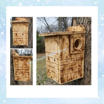 Basic Squirrel Nesting Boxes
