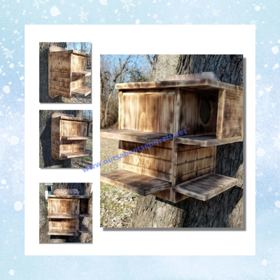 Fox Squirrel Houses