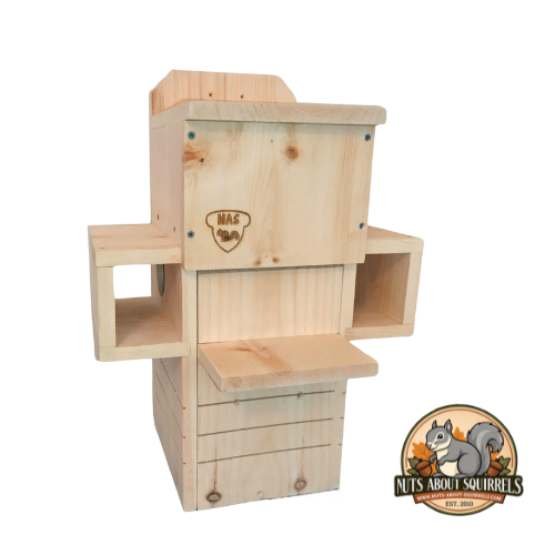 Squirrel Nesting Box with Wireless Camera