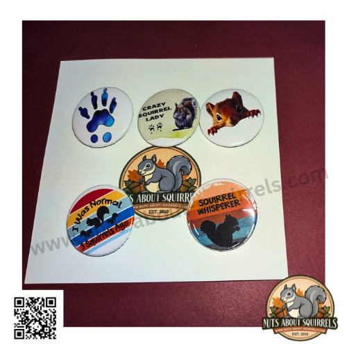 Set of Five 1.25&quot; Squirrel Themed Buttons