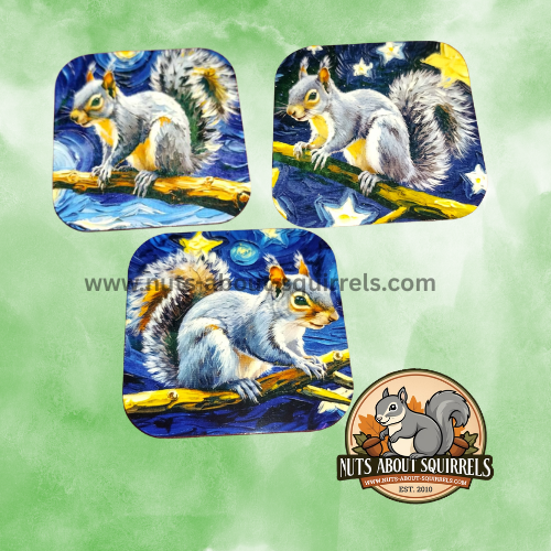 Set of Three Squirrel Magnets