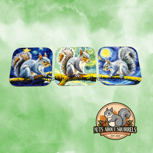 Set of Three Squirrel Magnets