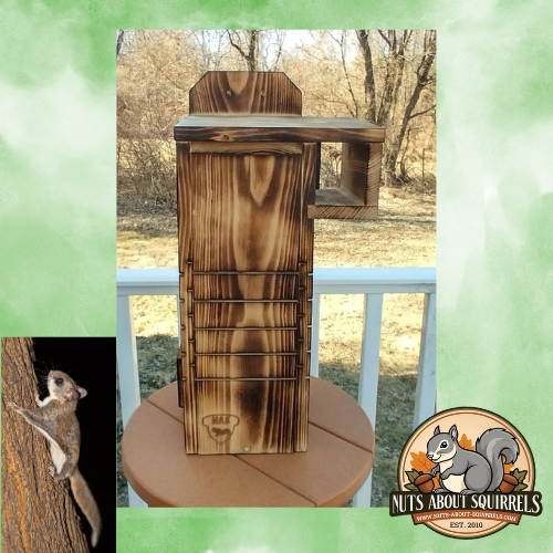 Northern or Southern Flying Squirrel Tower w/ Scorched Finish