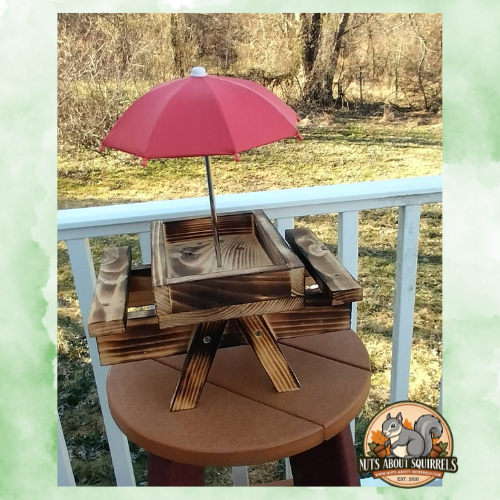 Picnic Table Feeder with Umbrella