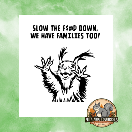 &quot;Slow the $#@ Down, We have families Too&quot; Squirrel Sticker