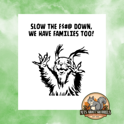Squirrel Sticker-&quot;Slow the $#@ Down, We Have Families Too&quot;