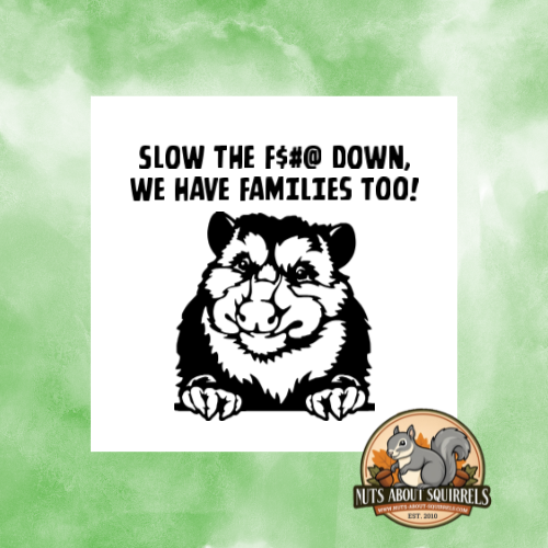 &quot;Slow the F$#@ Down, We have Families Too!&quot; Opossum Sticker