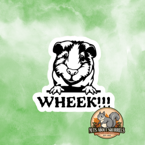 Wheek! Guinea Pig Sticker