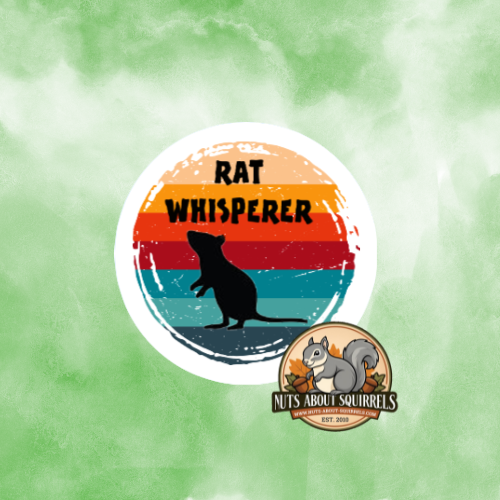 Rat Whisperer Sticker