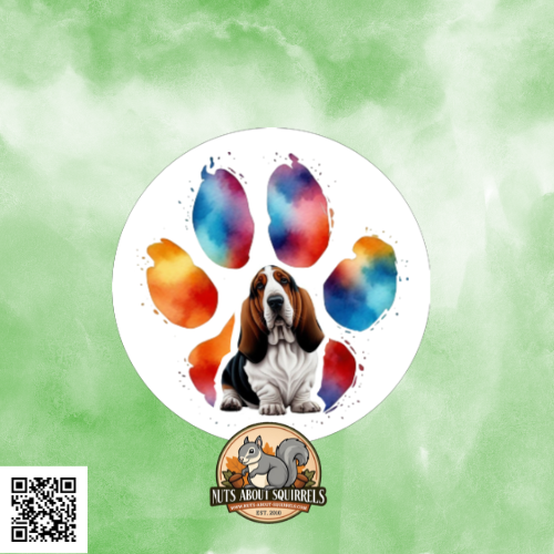 Basset Hound Sticker