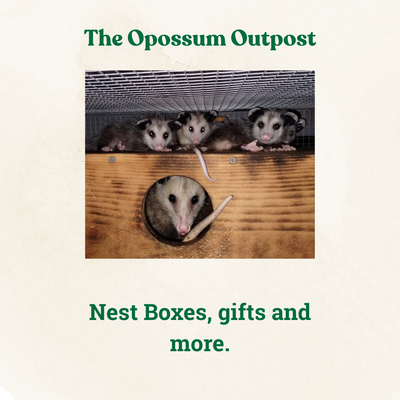 Opossum Outpost