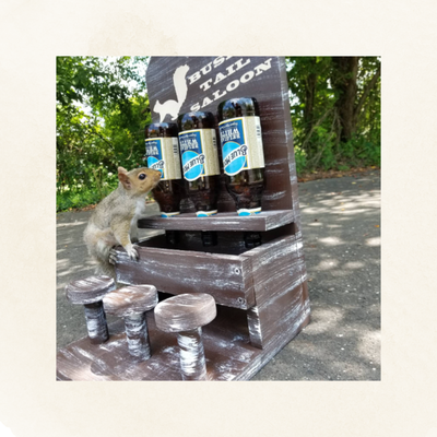 Squirrel and Other Wildlife Feeders