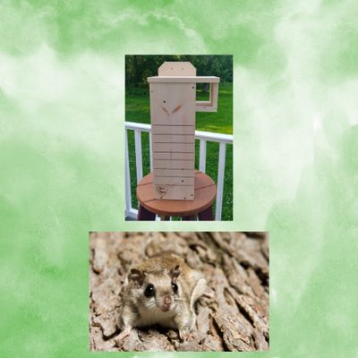 Flying Squirrel Nest Boxes