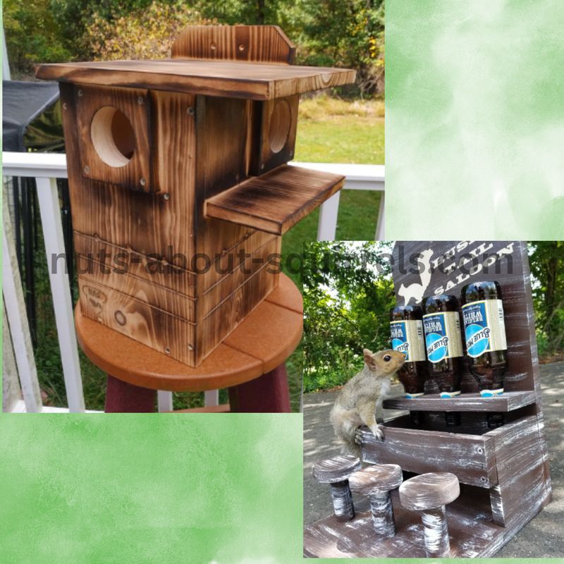 Squirrel Nesting Box w/ Two Entrances