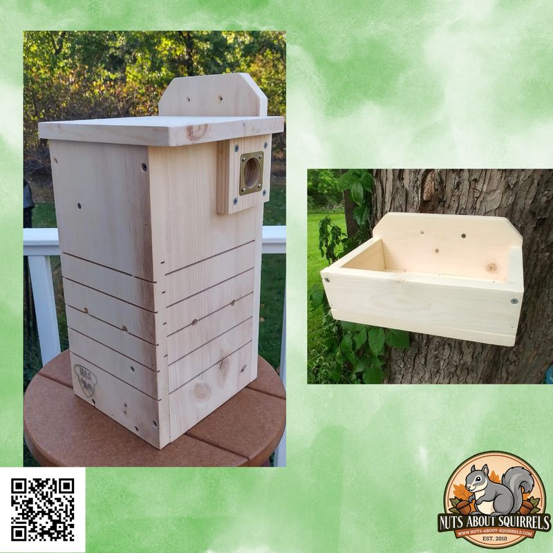 Northern or Southern Flying Squirrel Condo with Feeder