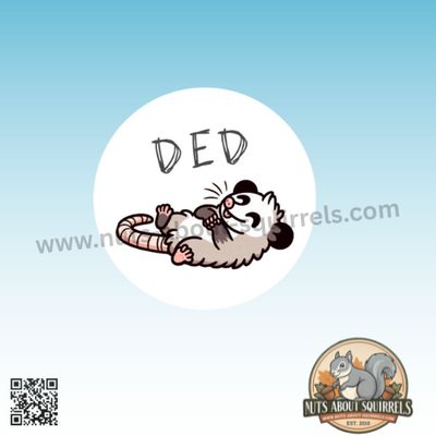 3.5&quot; Funny Opossum Sticker – Opossum Decal for Laptops, Journals, Car Window. &amp; More