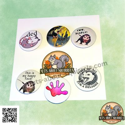 Funny Opossum  Buttons – 1.25&quot; Possie Pins with Sass &amp; Snark | Handmade Gift for Wildlife Rehabbers &amp; Opossum Lovers