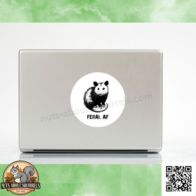 3.5&quot; Funny Opossum Sticker – Opossum Decal for Laptops, Journals, Car Window. &amp; More