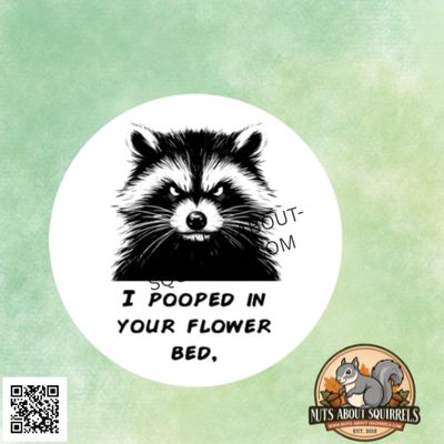Silly &quot;I Pooped in your Flower Bed&quot;  Raccoon Sticker-3.5″ Water Resistant Sticker