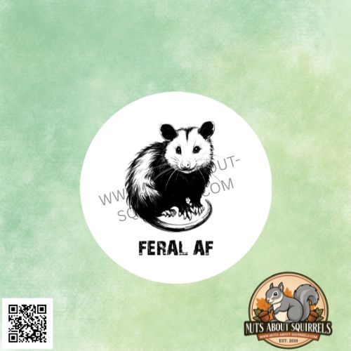 3.5&quot; Funny Opossum Sticker – Opossum Decal for Laptops, Journals, Car Window. &amp; More