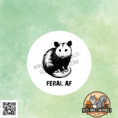3.5&quot; Funny Opossum Sticker – Opossum Decal for Laptops, Journals, Car Window. &amp; More