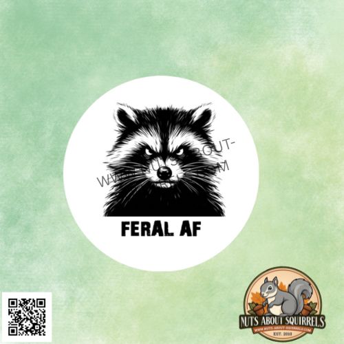 Funny &quot;Feral AF&quot;  Raccoon Sticker-3.5″ Water Resistant Sticker