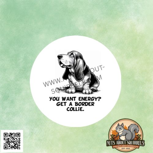 Funny &quot;You Want Energy, Get a Border Collie&quot;  Basset Hound Sticker – 3.5″ Water Resistant Decal for Dog Lovers