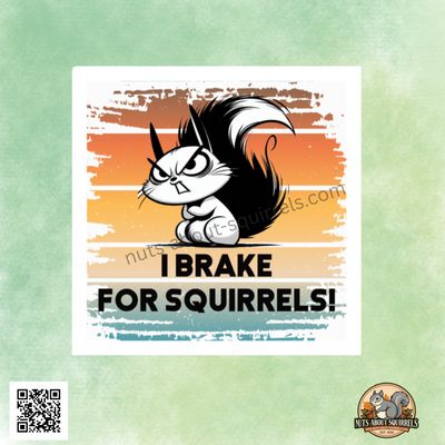 I Brake For Squirrels!- Full Color Squirrel Sticker