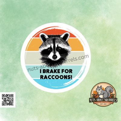 ‘I Brake for Raccoons’ Sticker – Full-Color– Weather-Resistant–3.5&#39; Decal